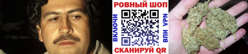 Альфа ПВП Вологда