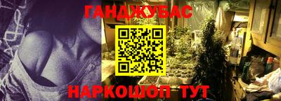 Альфа ПВП Малгобек