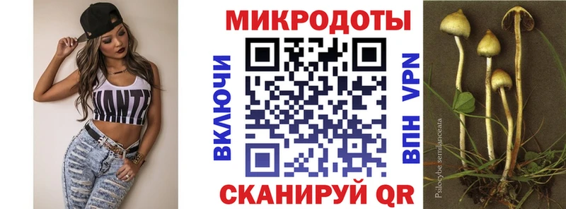 где продают   Вологда  Псилоцибиновые грибы GOLDEN TEACHER 