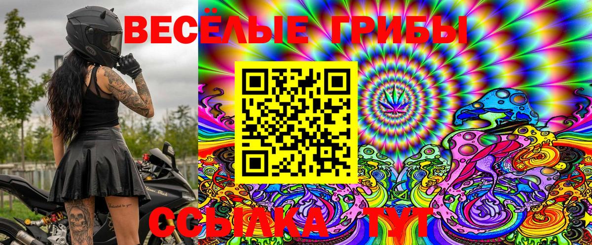 Псилоцибиновые грибы Magic Shrooms  Вход с VPN  Вологда 