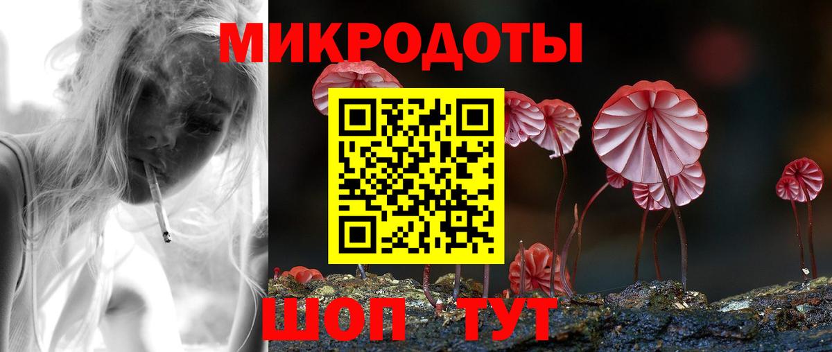 Псилоцибиновые грибы Psilocybe Вологда