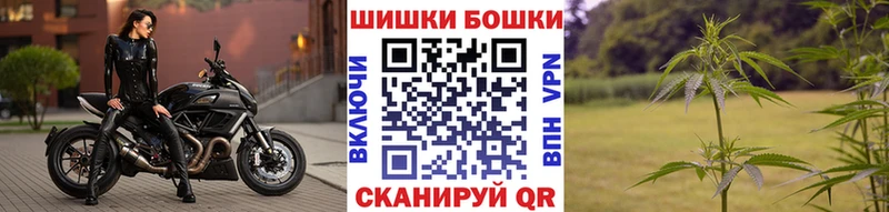 где купить наркотик  ОМГ ОМГ зеркало  Бошки марихуана тримм  Вологда 